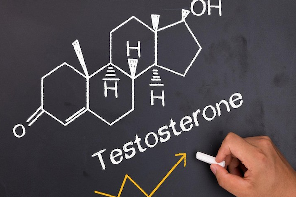 Потенция и тестостерон